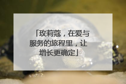 玫莉蔻，在爱与服务的旅程里，让增长更确定