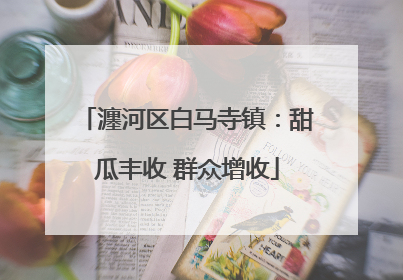 瀍河区白马寺镇：甜瓜丰收 群众增收