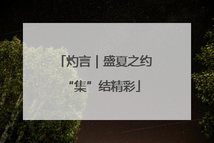 灼言｜盛夏之约 “集”结精彩