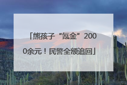 熊孩子“氪金”2000余元！民警全额追回
