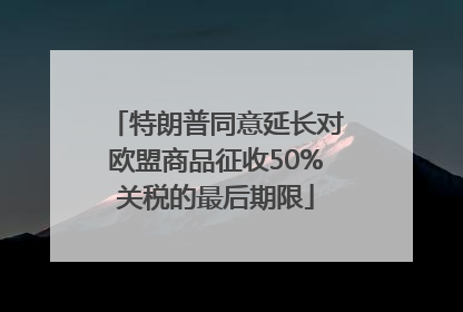 特朗普同意延长对欧盟商品征收50%关税的最后期限