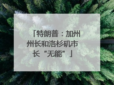 特朗普：加州州长和洛杉矶市长“无能”