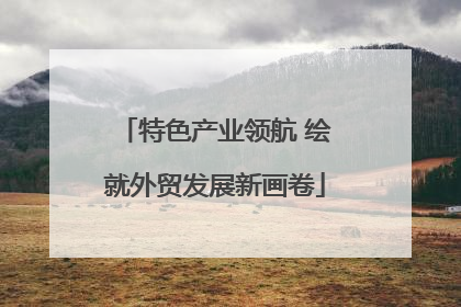 特色产业领航 绘就外贸发展新画卷