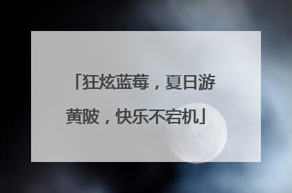 狂炫蓝莓，夏日游黄陂，快乐不宕机