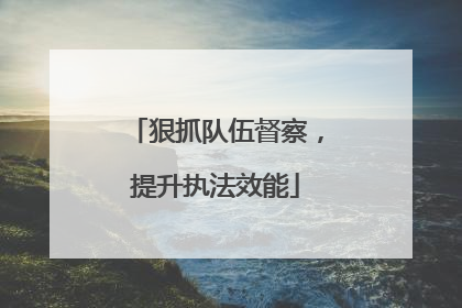 狠抓队伍督察，提升执法效能