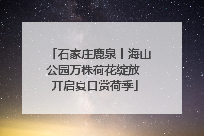 石家庄鹿泉丨海山公园万株荷花绽放 开启夏日赏荷季