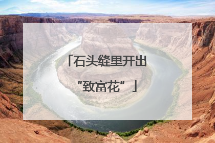 石头缝里开出“致富花”