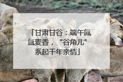 甘肃甘谷：端午氤氲麦香，“谷角儿”系起千年亲情