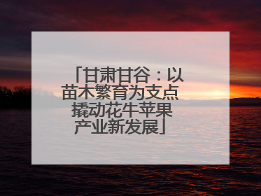 甘肃甘谷：以苗木繁育为支点 撬动花牛苹果产业新发展