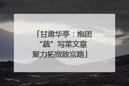 甘肃华亭：抱团“蔬”写菜文章 聚力拓宽致富路