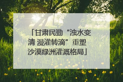 甘肃民勤“浊水变清 漫灌转滴”重塑沙漠绿洲灌溉格局