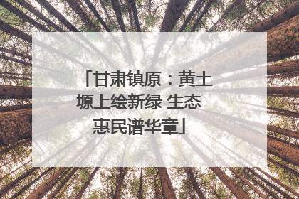 甘肃镇原：黄土塬上绘新绿 生态惠民谱华章