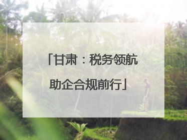 甘肃：税务领航 助企合规前行