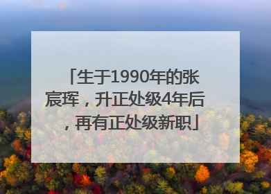 生于1990年的张宸珲，升正处级4年后，再有正处级新职