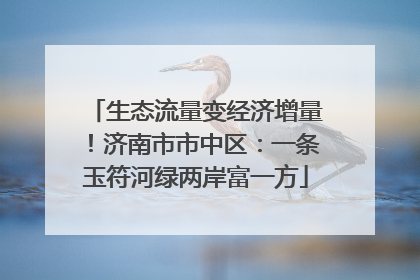 生态流量变经济增量！济南市市中区：一条玉符河绿两岸富一方