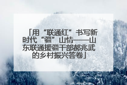 用“联通红”书写新时代“疆”山情——山东联通援疆干部郝兆武的乡村振兴答卷