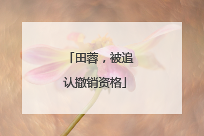 田蓉，被追认撤销资格