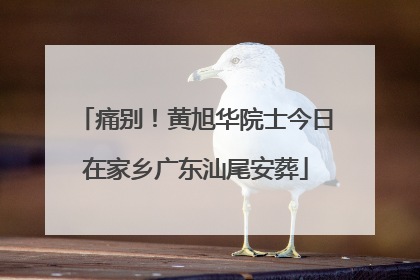 痛别！黄旭华院士今日在家乡广东汕尾安葬