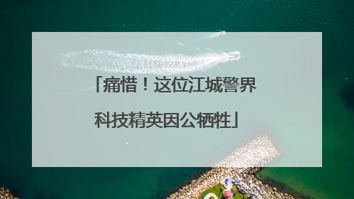 痛惜！这位江城警界科技精英因公牺牲