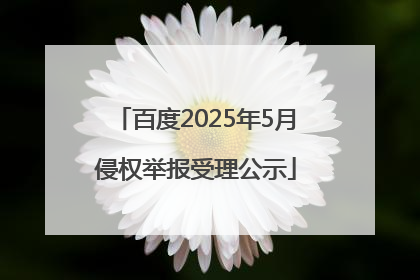 百度2025年5月侵权举报受理公示
