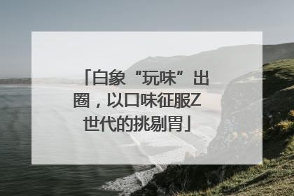 白象“玩味”出圈，以口味征服Z世代的挑剔胃