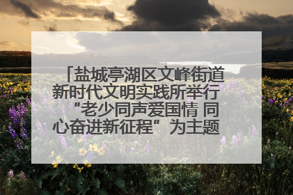 盐城亭湖区文峰街道新时代文明实践所举行“老少同声爱国情 同心奋进新征程”为主题的红色文化活动