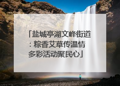 盐城亭湖文峰街道：粽香艾草传温情 多彩活动聚民心