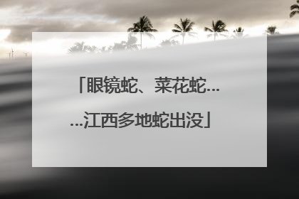 眼镜蛇、菜花蛇……江西多地蛇出没