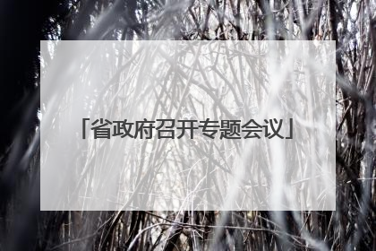 省政府召开专题会议