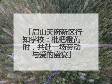 眉山天府新区行知学校：枇杷橙黄时，共赴一场劳动与爱的盛宴