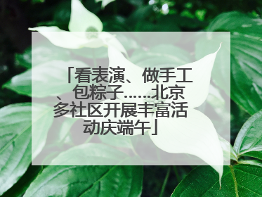 看表演、做手工、包粽子……北京多社区开展丰富活动庆端午