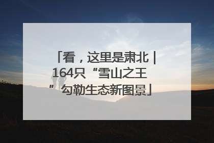 看，这里是肃北｜164只“雪山之王”勾勒生态新图景