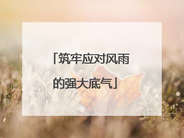 筑牢应对风雨的强大底气