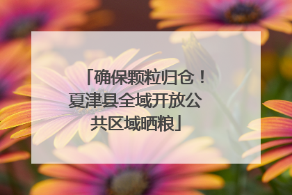 确保颗粒归仓！夏津县全域开放公共区域晒粮