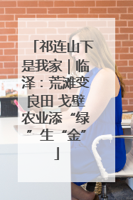 祁连山下是我家｜临泽：荒滩变良田 戈壁农业添“绿”生“金”
