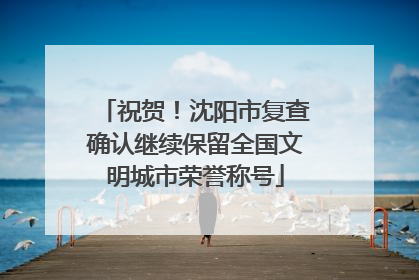 祝贺！沈阳市复查确认继续保留全国文明城市荣誉称号