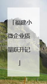福建小微企业质量跃升记