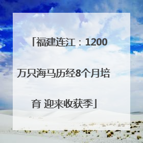 福建连江：1200万只海马历经8个月培育 迎来收获季