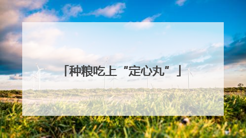 种粮吃上“定心丸”