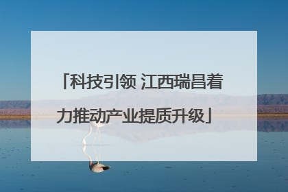 科技引领 江西瑞昌着力推动产业提质升级