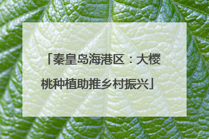 秦皇岛海港区：大樱桃种植助推乡村振兴