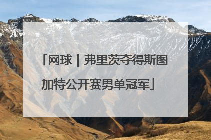 网球｜弗里茨夺得斯图加特公开赛男单冠军