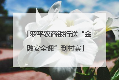 罗平农商银行送“金融安全课”到村寨