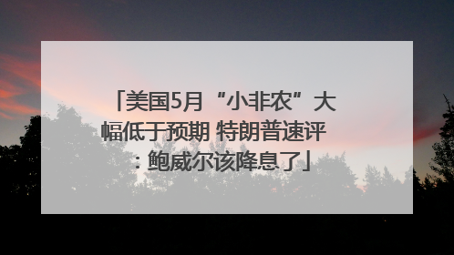 美国5月“小非农”大幅低于预期 特朗普速评：鲍威尔该降息了