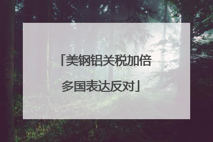 美钢铝关税加倍 多国表达反对