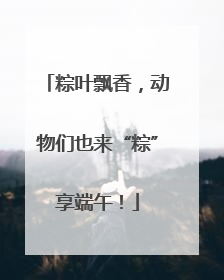 粽叶飘香，动物们也来“粽”享端午！