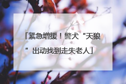 紧急增援！警犬“天狼”出动找到走失老人