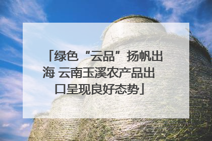 绿色“云品”扬帆出海 云南玉溪农产品出口呈现良好态势