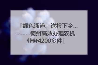 绿色通道、送检下乡…………德州高效办理农机业务4200多件