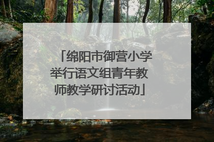绵阳市御营小学举行语文组青年教师教学研讨活动
